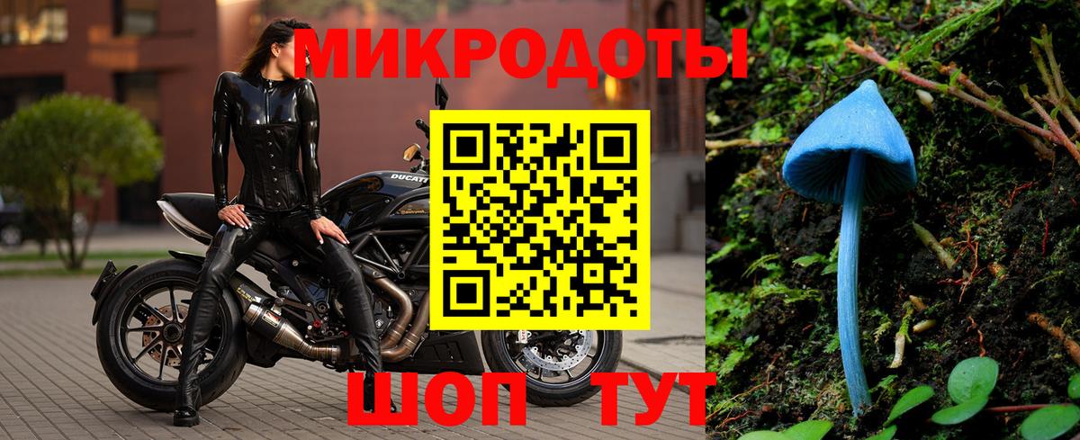 Псилоцибиновые грибы GOLDEN TEACHER Гатчина